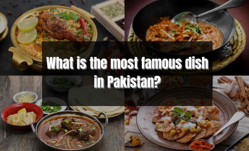 What is the most famous dish in Pakistan