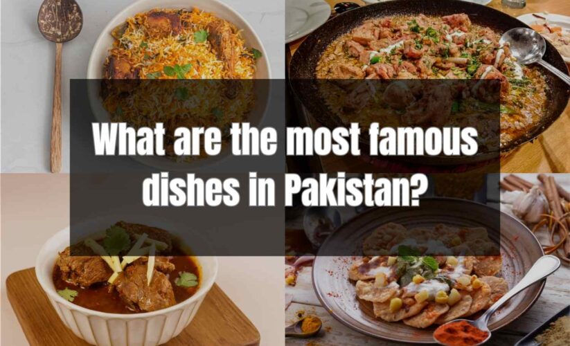 What are the most famous dishes in Pakistan?